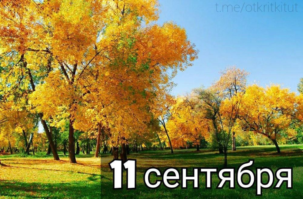 � �� �����, ���:. ��� ����� ���� ������� ����������� ������? ��� ���������� � ������. ������ ������ ����� ��������� 50 000 �������� �� ����������. ��� � ���� ��� ������, ��� �� ����������� ������