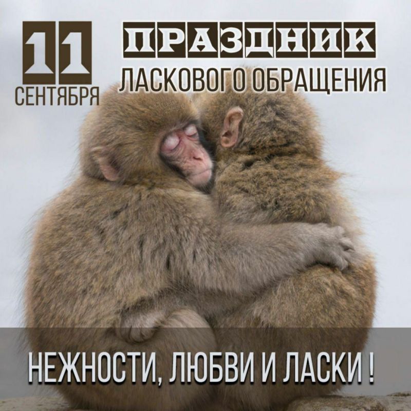 ��������� 11 ��������. ���� ����������� ������� �������������� ������