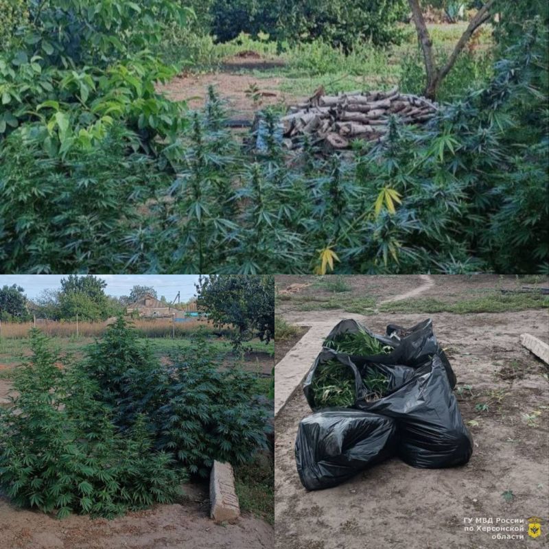 � ��������� ������ ������� ��������� ����� ������� ��� ������������ ���������