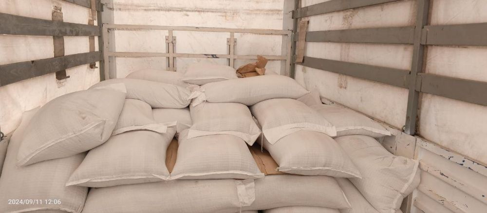 ��������� ������ ������������ ������ ������� � �������