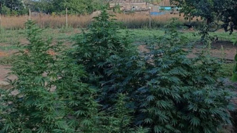 ������������ ��������� �� ���� �������� ��������� ��������������� ���������� �������