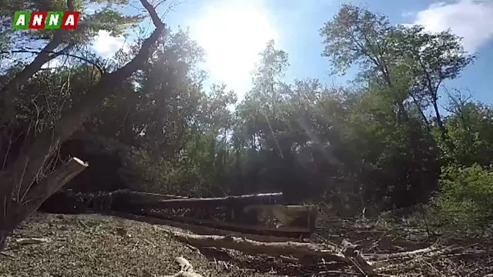 ������������-���������� ���������� ���������� ������ ��� � ������ �������� �� ������ ������ ������ � ���������� �������