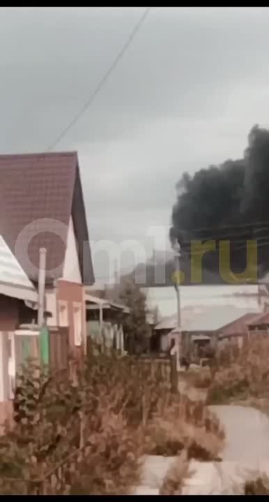 � ����� ����� ����� ������������ ������������