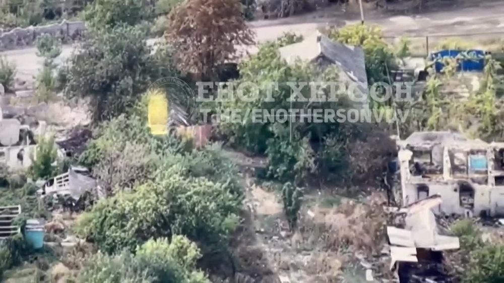 ��������� �������: ��������� ������� fpv-����� ��������� ��� ��������� ����� ��������� ���������� ���������� ���� ��� � ����� ���