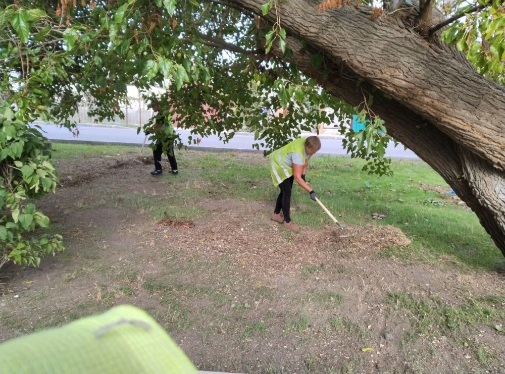 11 �������� �������� ����������� ������ ������ �� ��������� ���� � ���������