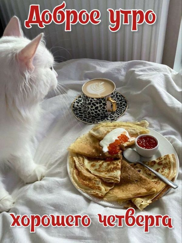 ��������� 12 ��������. ���� �������������� ��-�� ����������� ������������ �����