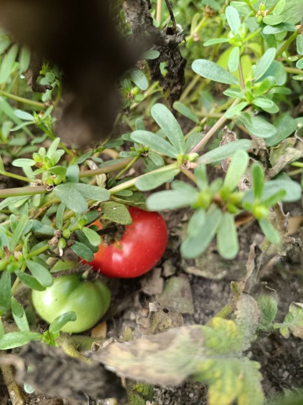 � ������ �����, �����������!