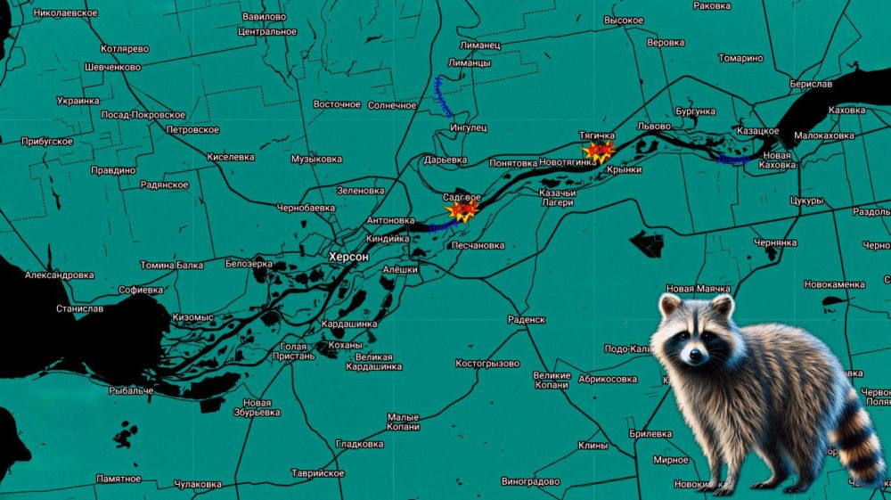 ���� �� �������: ��������������� ����������� ����� ������ �������� ��������� ����� ���� � ������� 31-� ����������������...