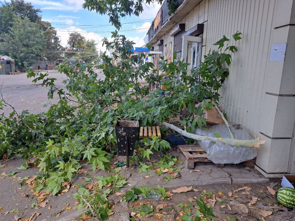 ���������� �����: ������� ����� �������. ��� ������ �������� � ��� �� ����� ������, ��� ������ �������� ���������� ������� ������ �� ���������� ����������� �������� � ������ �����