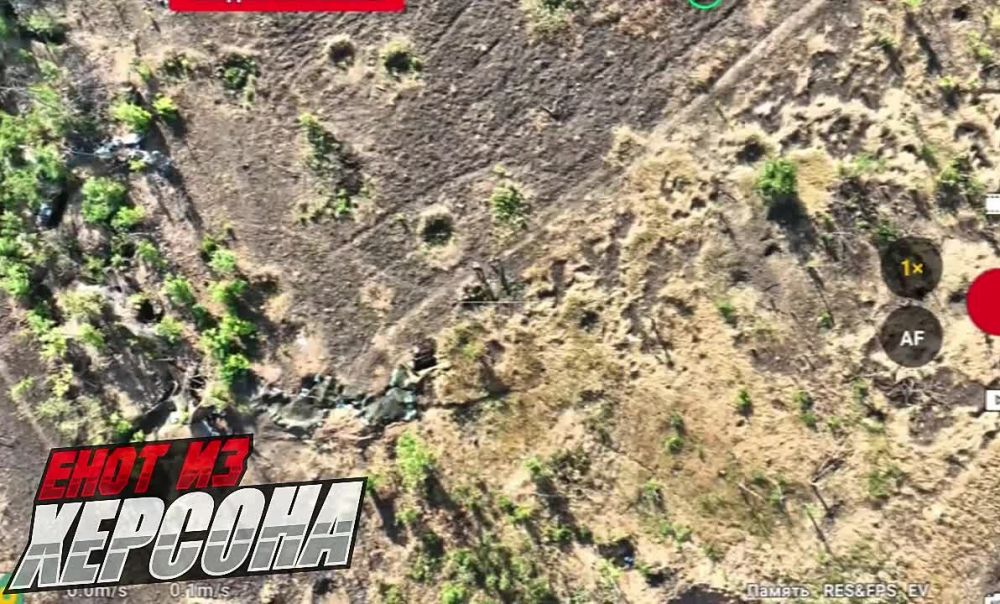 ���� �� �������: ����������� �����������