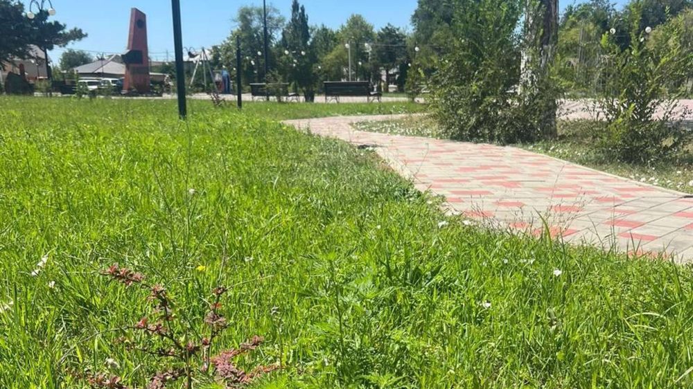 � ����� ���������� ������� �� ����������� ��������