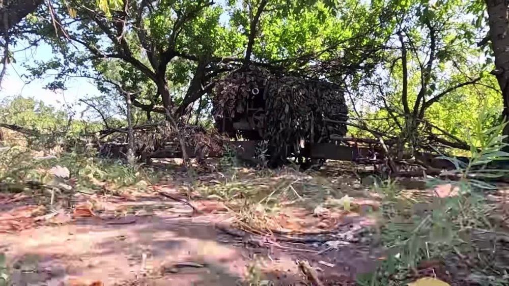 ������� ���������� ����������� ����� "�����" ��������� ������ ������ � ���������� ������� ����������