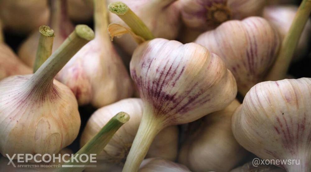 ������� ���������, ��� ������ �� ���� ������� � ��� ������� ������� ������