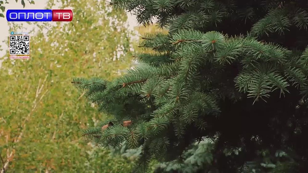 ���������, ������! ������� ����� ������