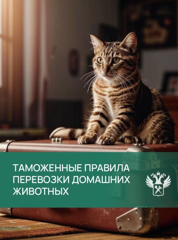 ���������� � ���������� �������� ����������� � ��������� ���������