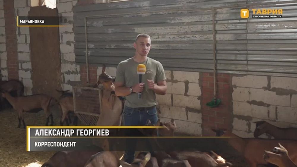 ���������� ����� ������ ��� ����� � ������� ������������� ������� ���������� �������