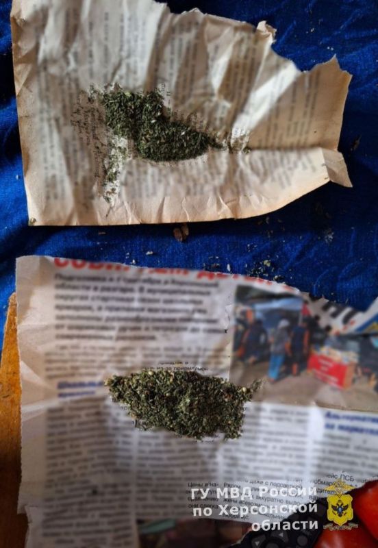 Житель Алешкинского района подозревается в хранении марихуаны