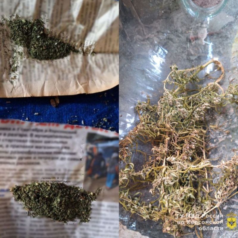 Житель Алешкинского округа подозревается в хранении марихуаны на территории собственного двора