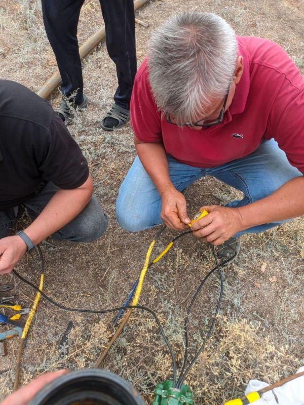 � ���������� ������������ �������������