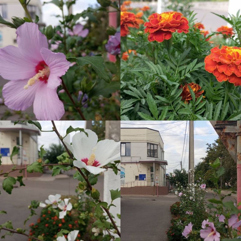 ������� ���� � ������� � ����� ������ � ������ �������� ����������