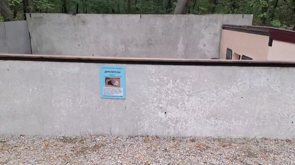 ����� ��� ��� ���������� � "�������-����"