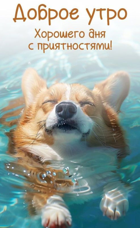 ������ ����, ������!. ������� ��������� ������ �������� ������ ������. ���� �� +19 �� +26, ����� �� +19�. ��������� ��������� ������, � �������� 2 �/� � �������� �� 6 �/�. ������ ���� ��� �������