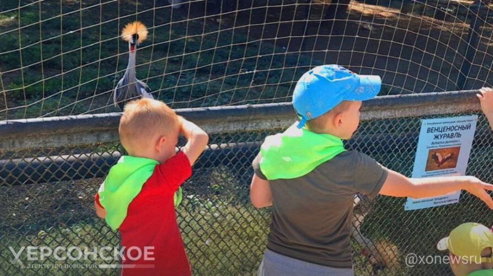 ������������ �������� ���� ������� ������� � ����� ������ �������