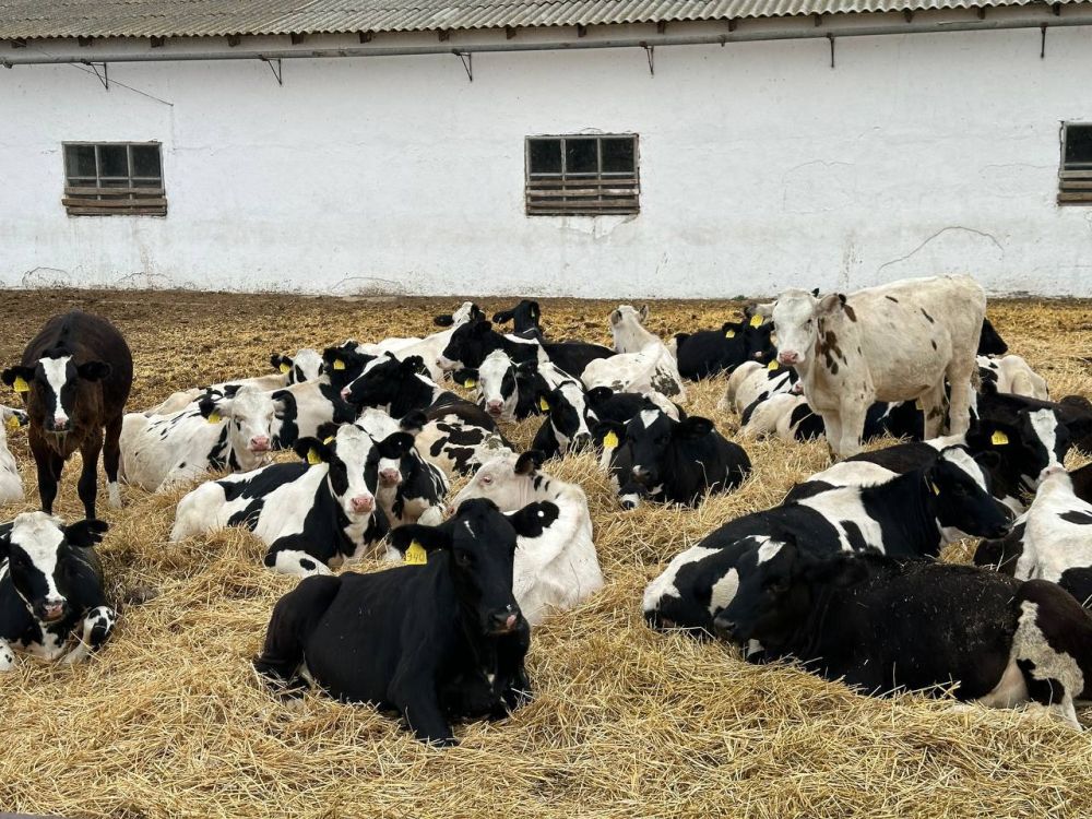 � ���������� ������� ������� �������� ����������-��������� �����������