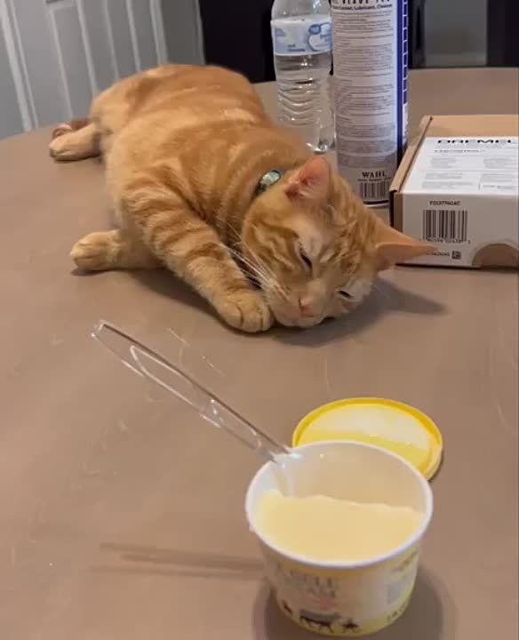 ��������� ����!. ��������-����� ���������� �������