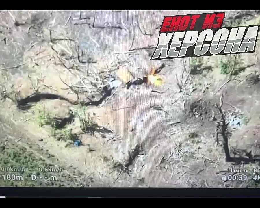 ���� �� �������: ����������� �����������