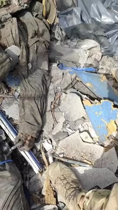 �������� ������ ���� ����� �����