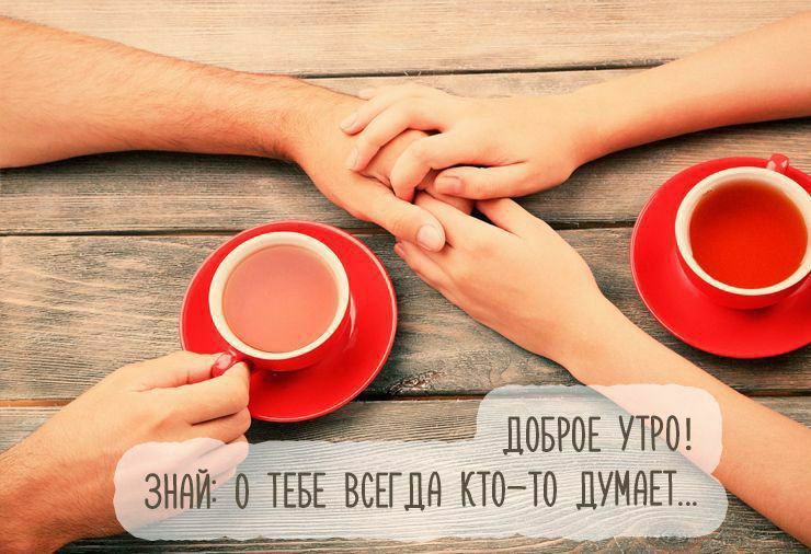 ��������� 13 ��������. ���� �����������