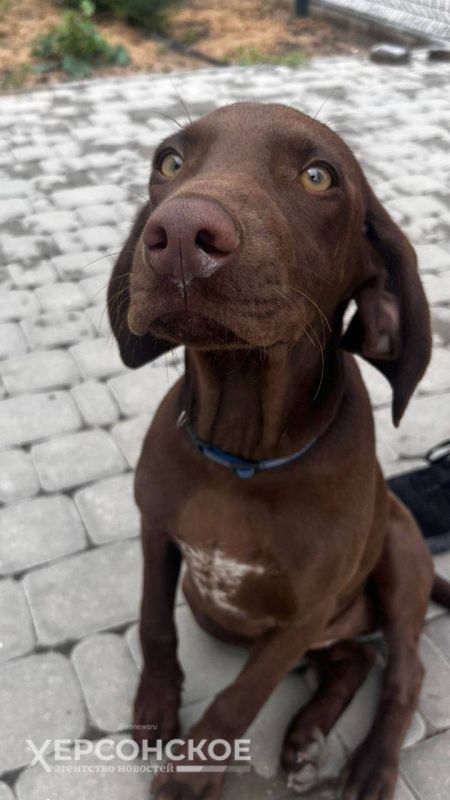 �������� ���������. � ����������� ������������� �������� ������������ ���������