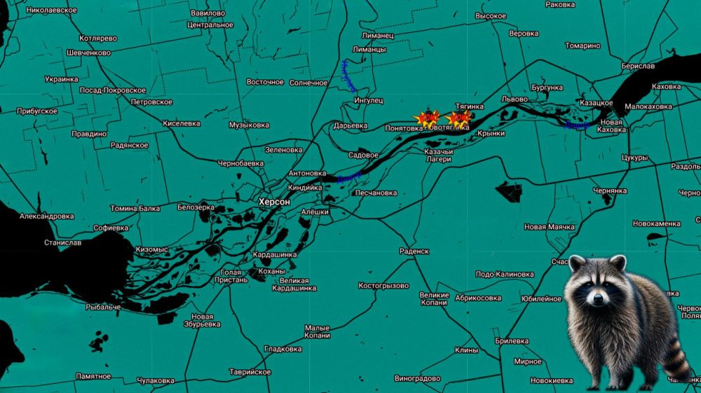 ���� �� �������: ��������������� ����������� ����� ������ �������� ��������� ����� ���� � ������� 31-� ����������������...