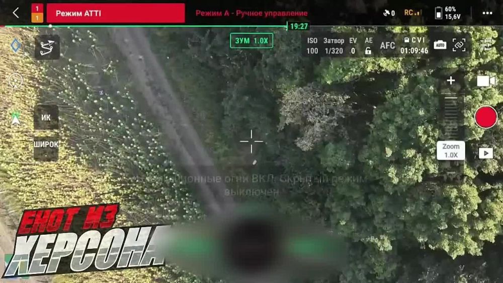 ���� �� �������: ����� ������ ��� � ������� �������