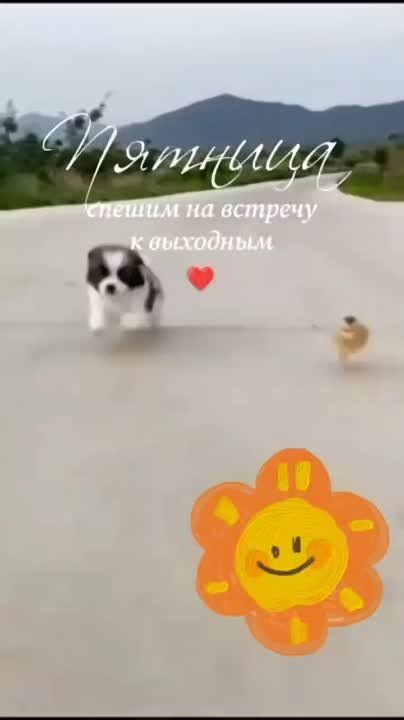 � ������ �����. �������, 13 �������� � �� ����� ���? ���� ��������� ������� �������� ������� � ��������� �������� �������. ����������� ���� ������� � ������� 300 ��� � ����. �������� ������� �� 15 �� 100 ��� � ����