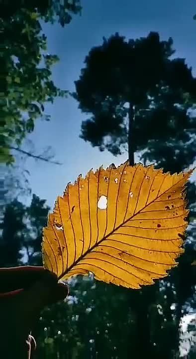 ���� �������� ������!