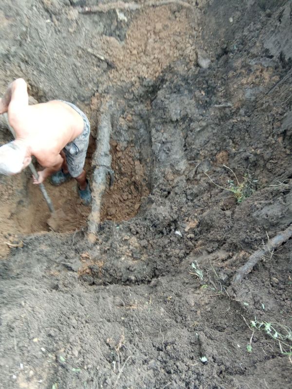 � ���� ��������� ������������������ ������ ������������ �������������