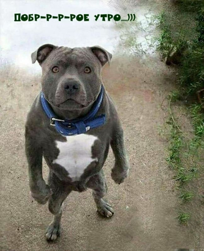 � �� ����������� �� ��� �����?))))