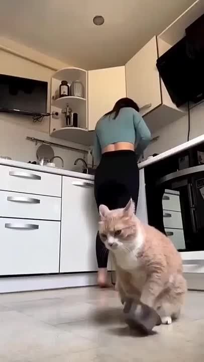 ��������� ����!. ��������-����� ���������� �������