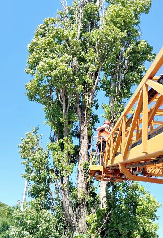 �������������һ �������� � ���������� �������