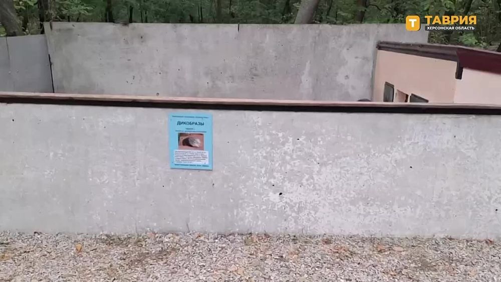 � ���������� ����������� "�������-����" ���������� ���������� � ����� ������