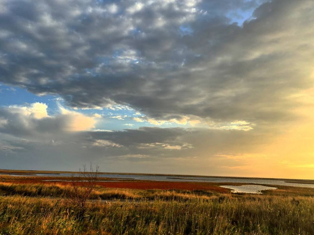 ����� ����������: ���������� ������� ����������� ������� ��� ����������� �� ������� ����