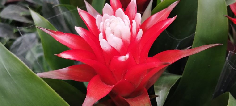 ������� ������� ������� � �����