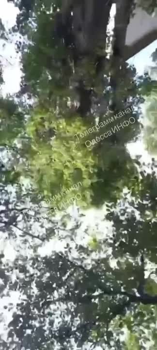 "����� ���� ������, � �� ���� ������ ����� ������"