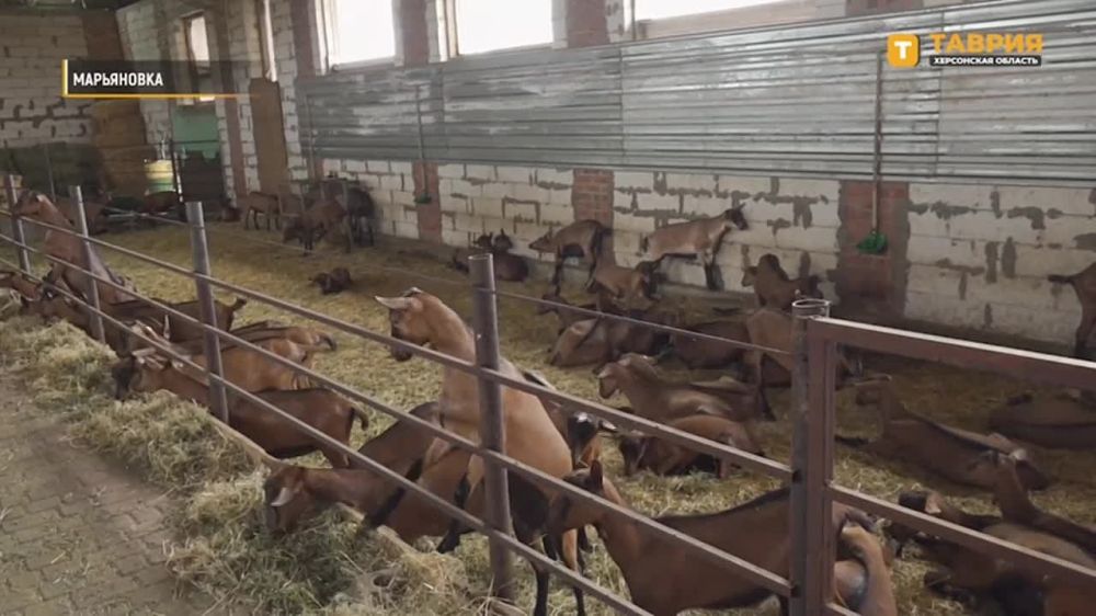 ����� ��������: ���������� ����. ������� ����. � ����������