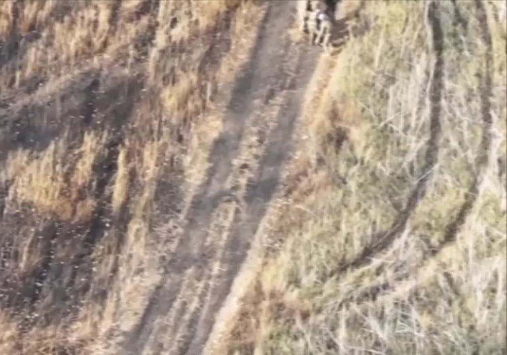 ������������� ������ ���������� �������������� �������� ��������������� �������� ������, ������� ����� �� ������, ��������� �����������