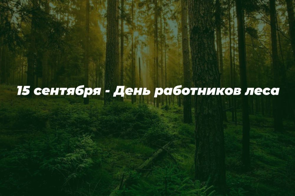 15 �������� - ���� ���������� ����