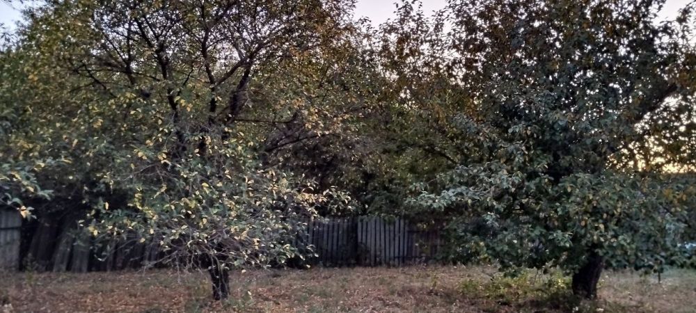 ���� ������� ������, ������!