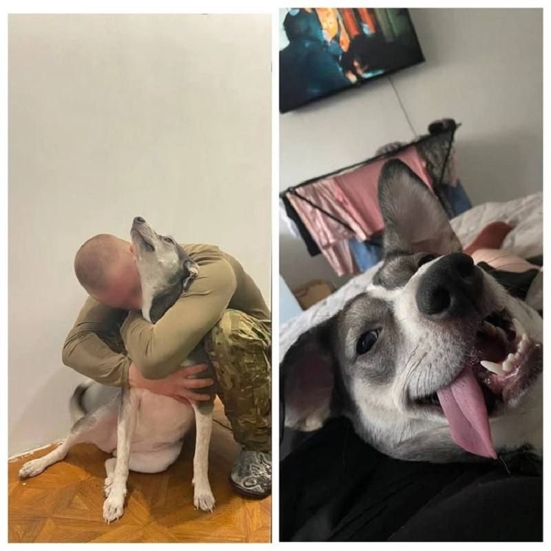 ������������ ���� ������